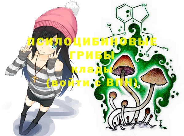 PSILOCYBIN Алексин