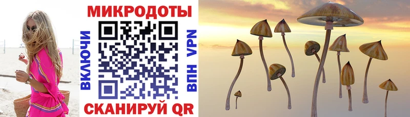 Галлюциногенные грибы мухоморы MEGA ссылки Качканар