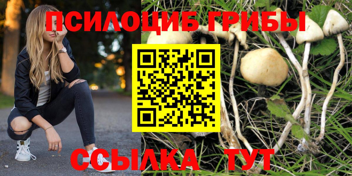 Псилоцибиновые грибы MAGIC MUSHROOMS Качканар