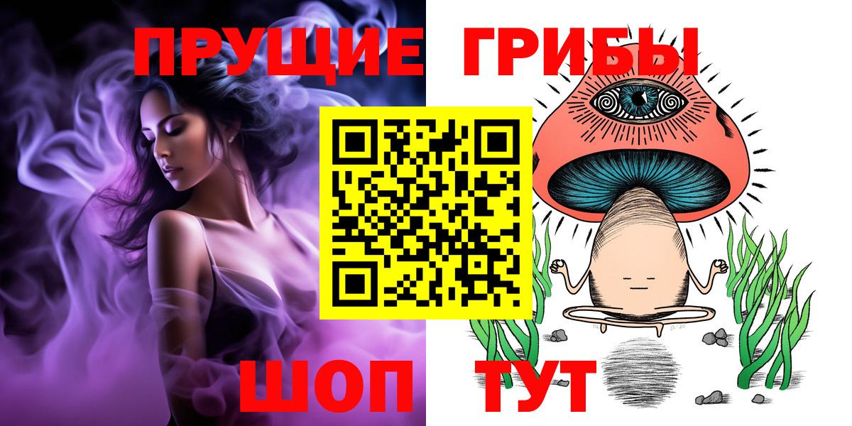 купить наркотики цена  Галлюциногенные грибы GOLDEN TEACHER  Вход с VPN  Псилоцибиновые грибы MAGIC MUSHROOMS  Качканар 