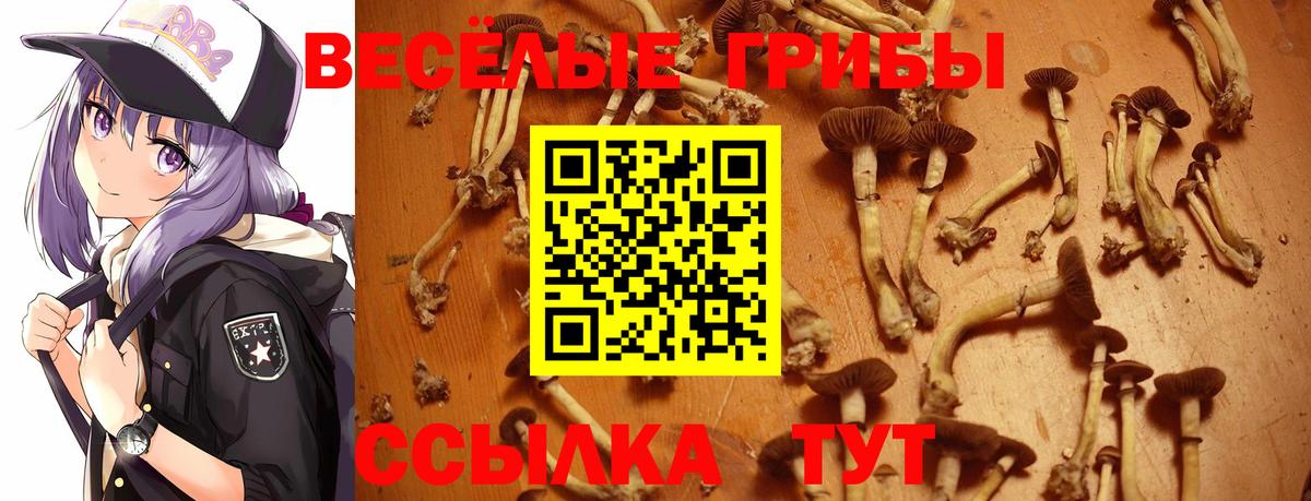 APVP Качканар